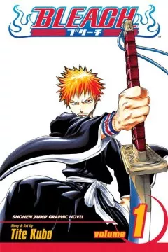 Bleach. Vol. 1, Strawberry and the soul reapers book cover