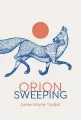 Orion sweeping book cover