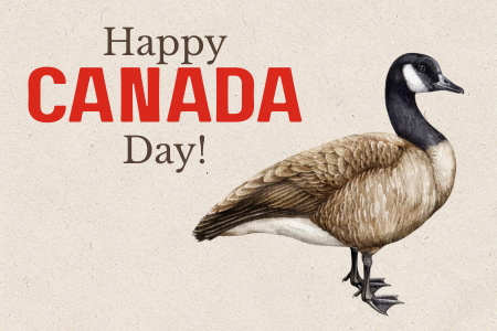 Closed for Canada Day