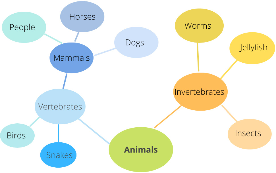 Memorizing words using the web diagram method