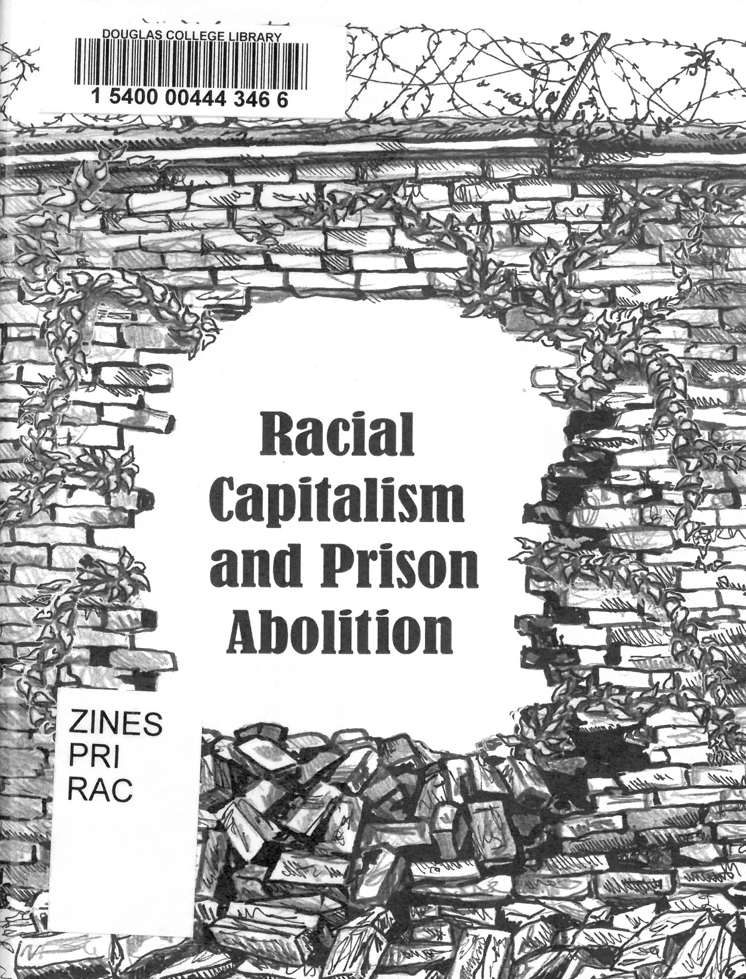 Racial capitalism and prison abolition