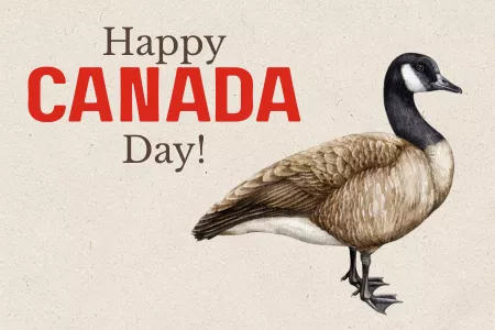 Closed for Canada Day