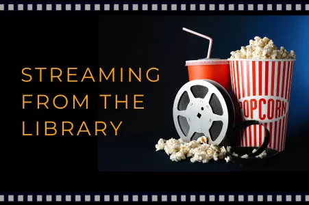 Movie night starts here! Check out our streaming collection. 