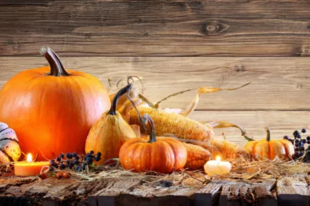 Closed for Thanksgiving